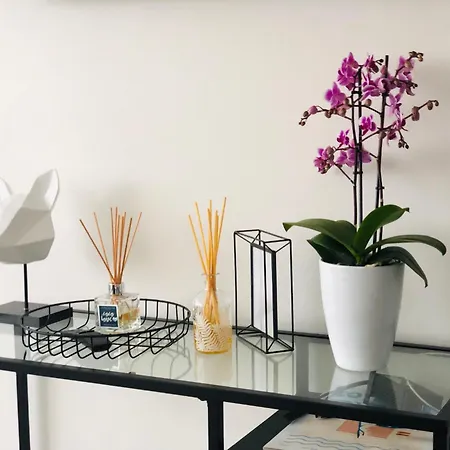 Apartment D'architecte